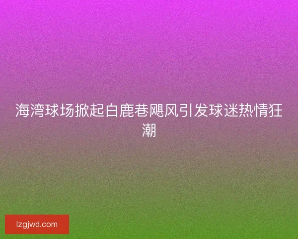 海湾球场掀起白鹿巷飓风引发球迷热情狂潮