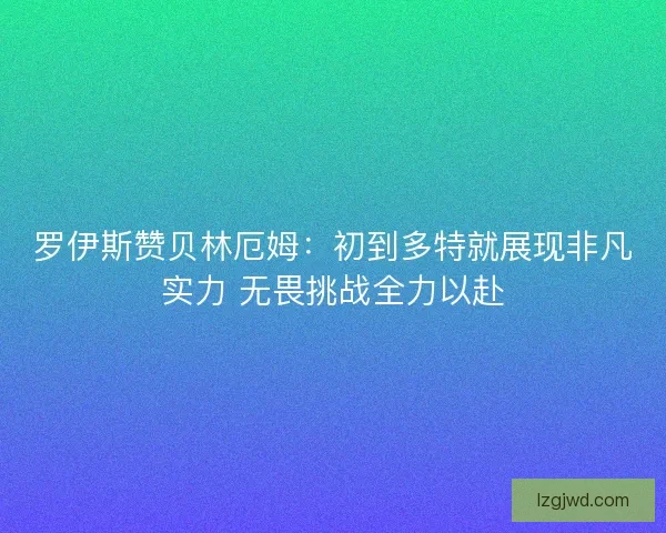 罗伊斯赞贝林厄姆:初到多特就展现非凡实力 无畏挑战全力以赴 罗伊斯赞贝林厄姆:初到多特就展现非凡实力 无畏挑战全力以赴